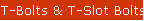 T-Bolts & T-Slot Bolts